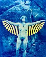 Exhibitionist